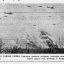 В районе Ржева. Советские самолёты штурмуют скопления немецких войск